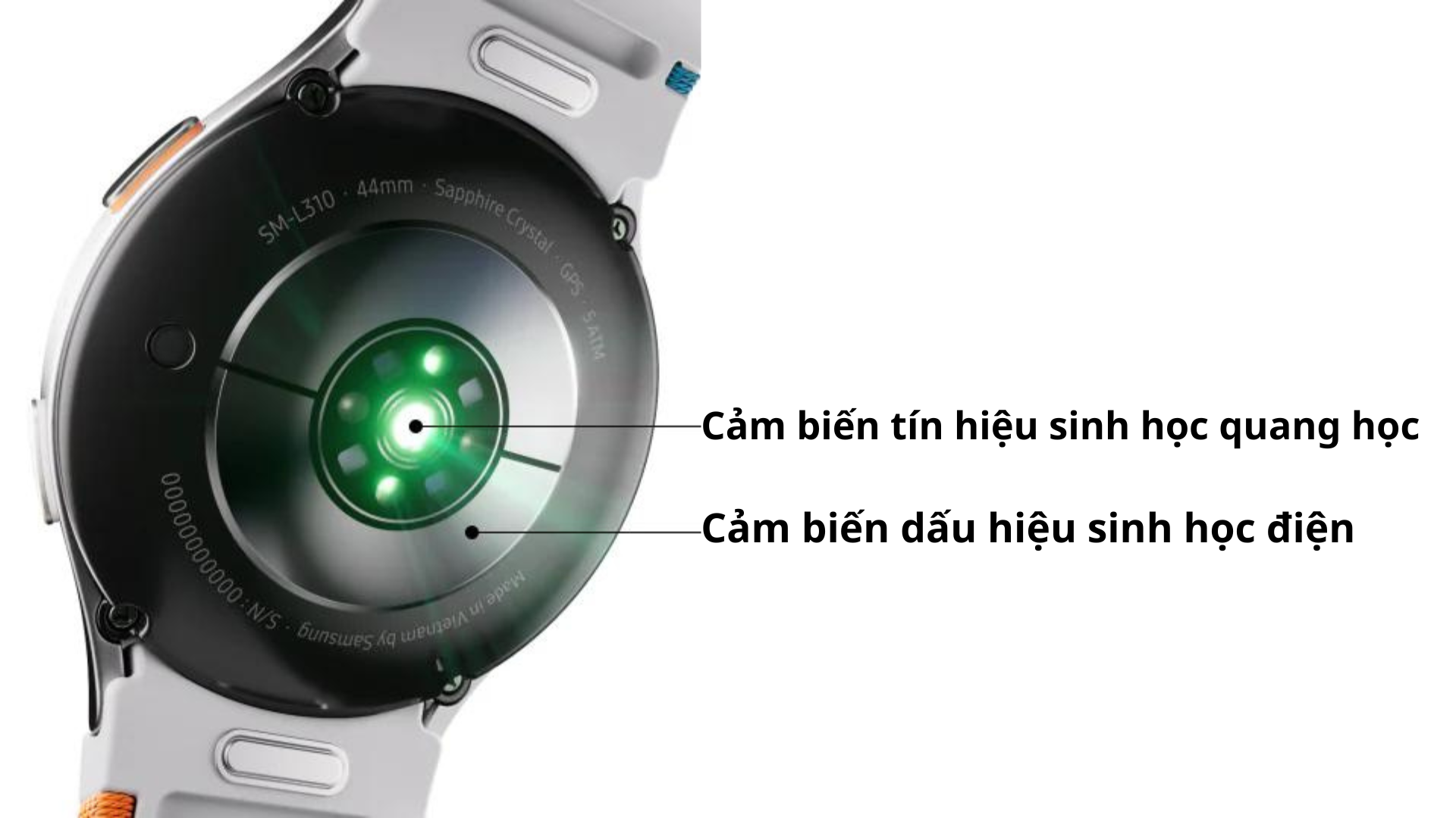 Đồng hồ thông minh Galaxy Watch 7 LTE (40mm) Cảm biến tín hiệu sinh học quang học , Cảm biến dấu hiệu sinh học điện