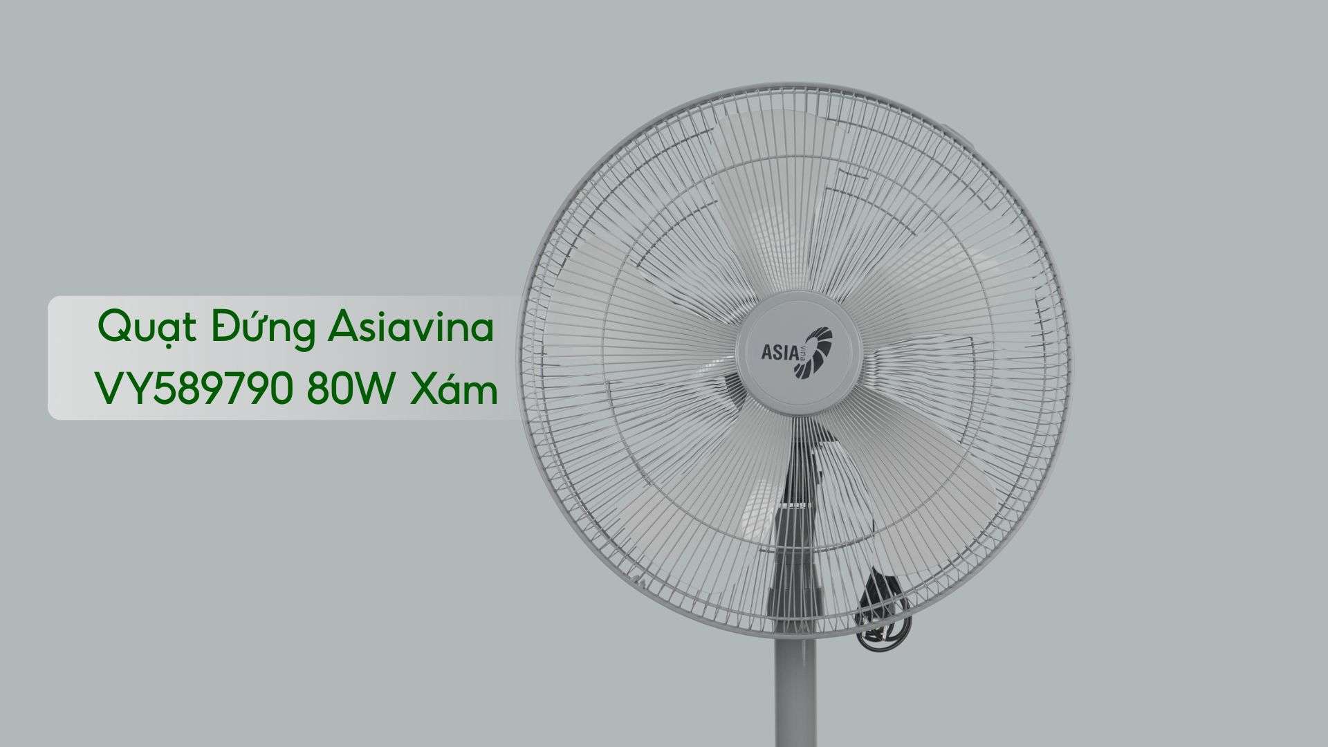 Quạt Đứng Asiavina VY589790 80W Quạt Đứng Asiavina VY589790 80W Xám