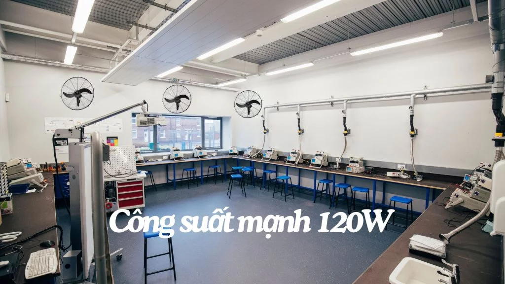 Quạt treo tường Asia Vina (L24001-DV0) Công suất mạnh 120W