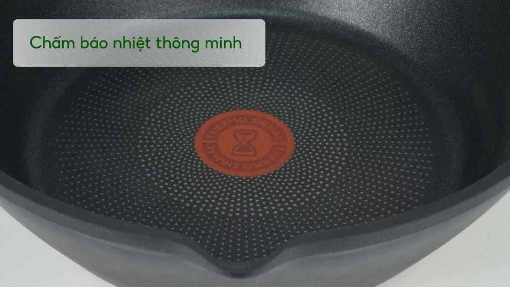 Chảo Đúc Cao Cấp Sâu Lồng Tefal Robusto Có Miệng Rót 28Cm E2491944 Chấm báo nhiệt thông minh