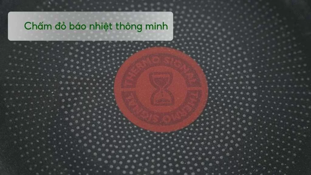 Chảo Đúc Cao Cấp Tefal Robusto Có Miệng Rót 20Cm E2490244 Chấm đỏ báo nhiệt thông minh