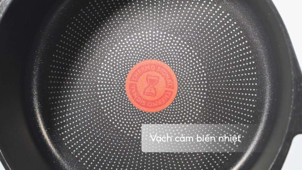 Nồi Đúc Cao Cấp Tefal Robusto Có Miệng Rót 24Cm E2494644 Vạch cảm biến nhiệt