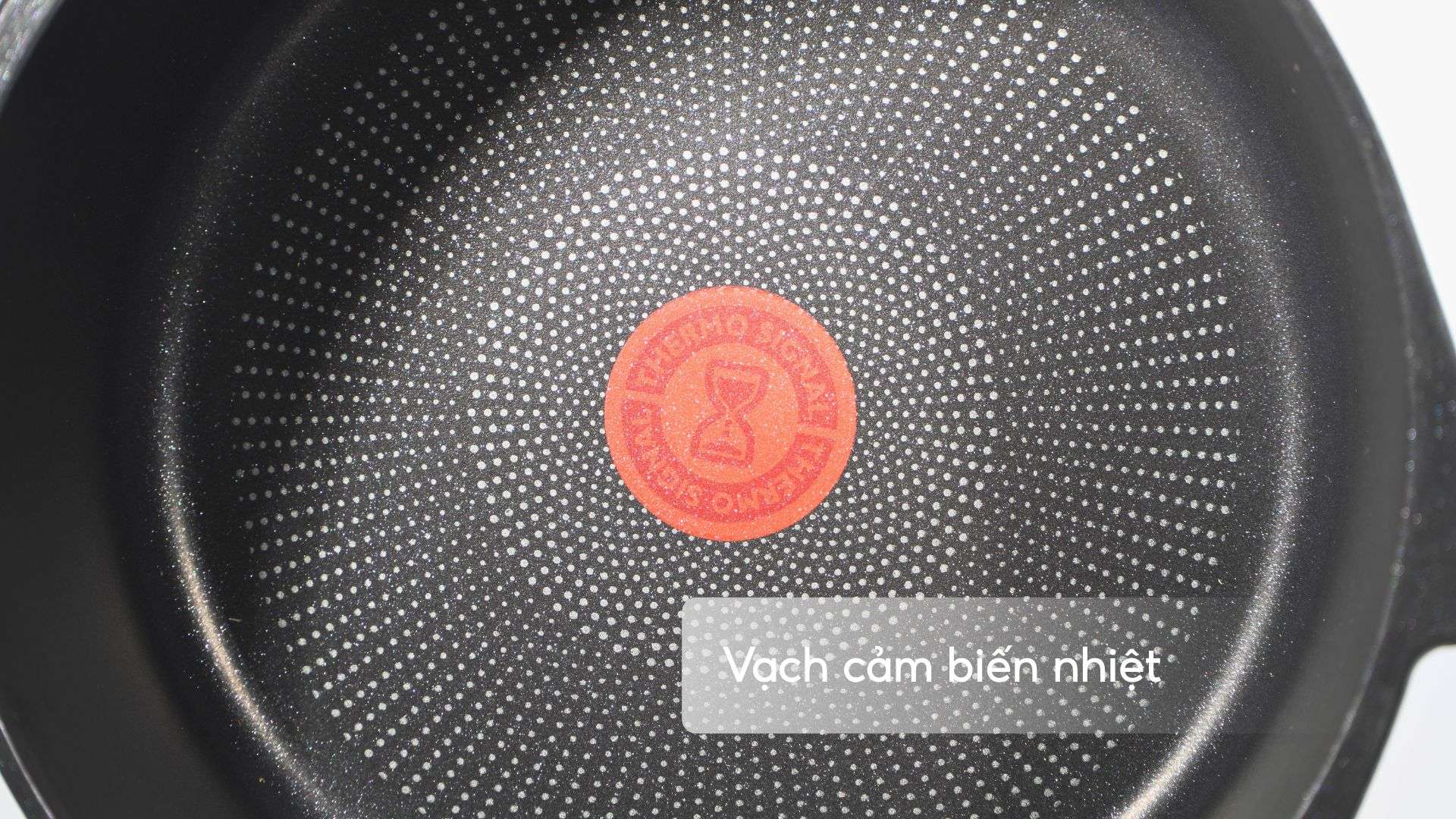 Nồi Đúc Cao Cấp Tefal Robusto Có Miệng Rót 24Cm E2494644 Vạch cảm biến nhiệt