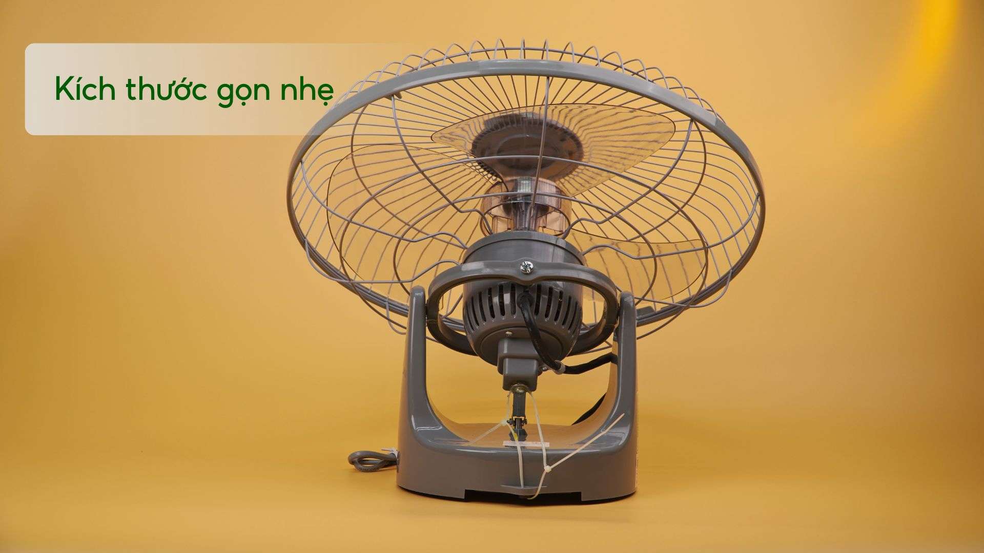 Quạt Trần Đảo Asiavina X16002-XV0 55W Kích thước gọn nhẹ