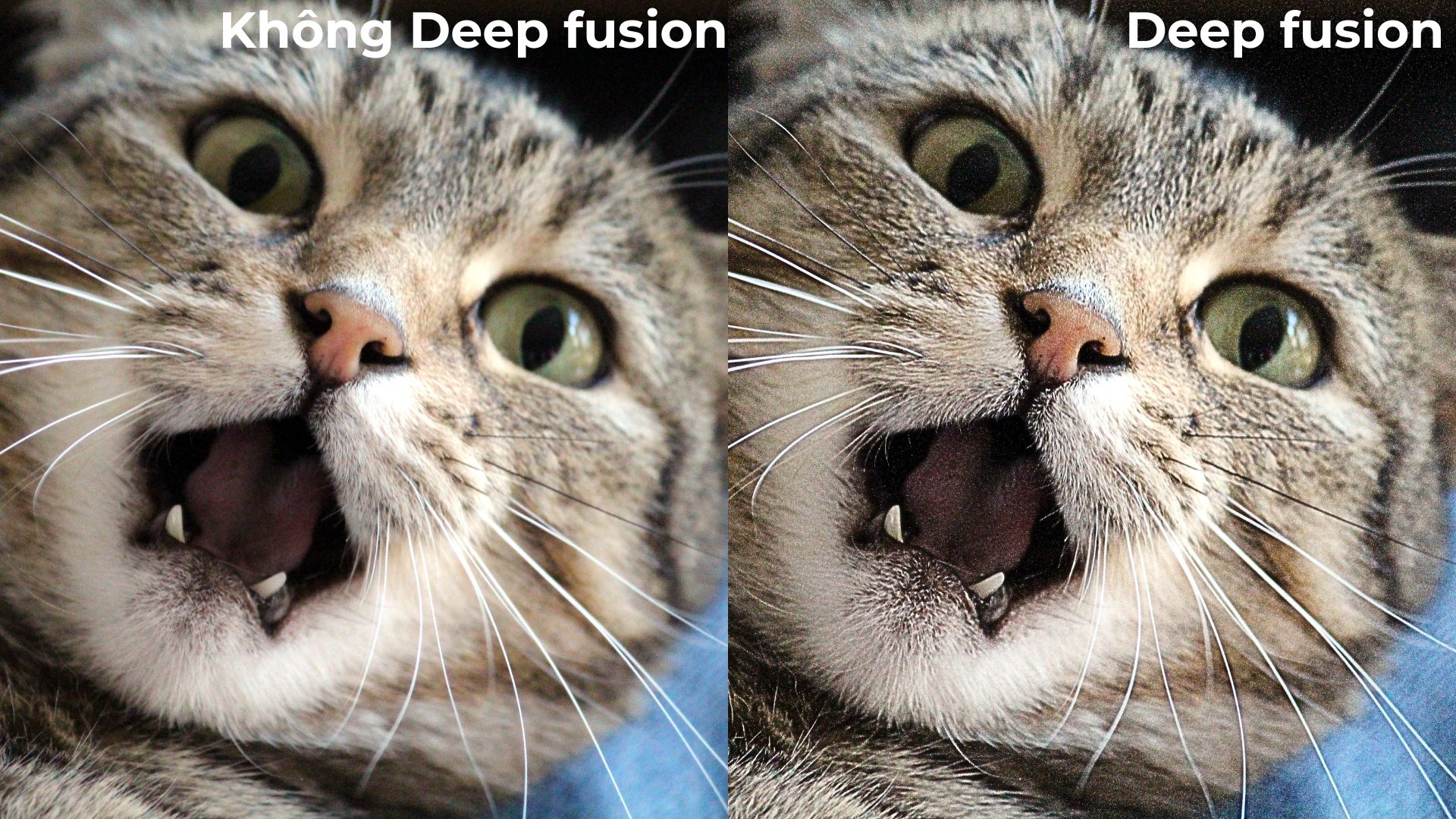 Deep fusion là gì