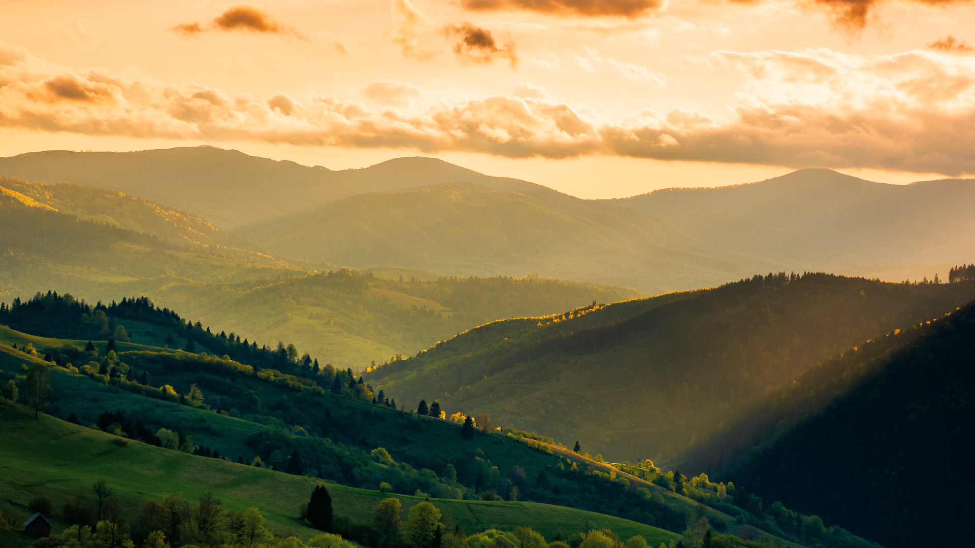 Panorama là gì