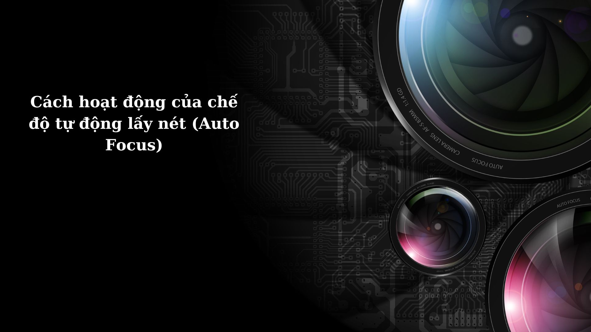 Cách hoạt động của chế độ tự động lấy nét (Auto Focus)