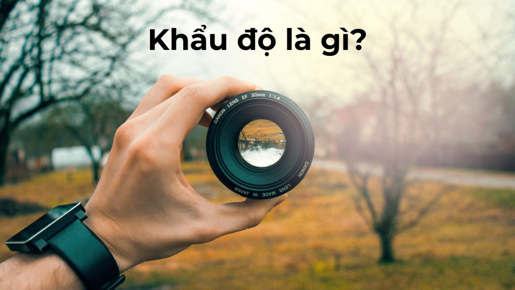 Khẩu độ là gì