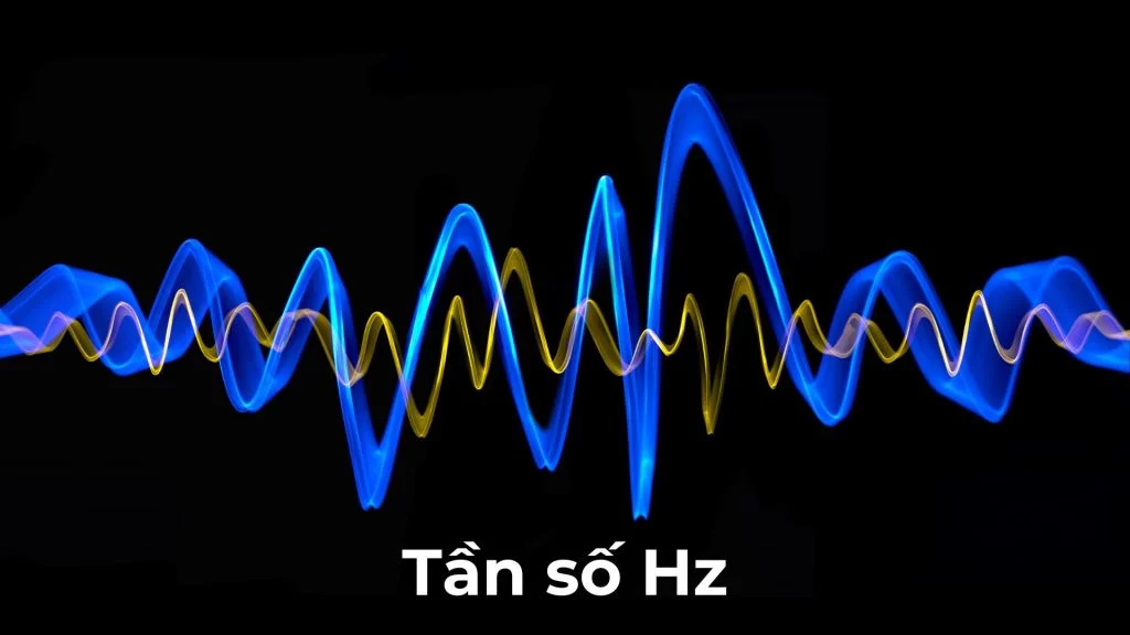 Tần số Hz