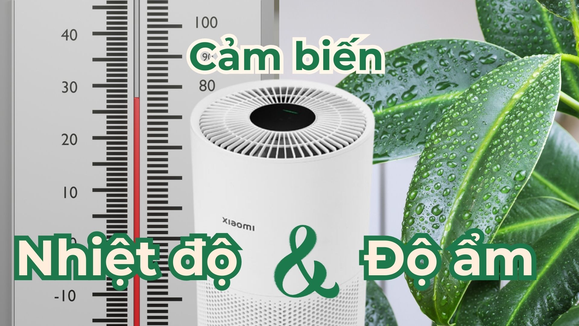 Cảm biến nhiệt độ và độ ẩm là gì