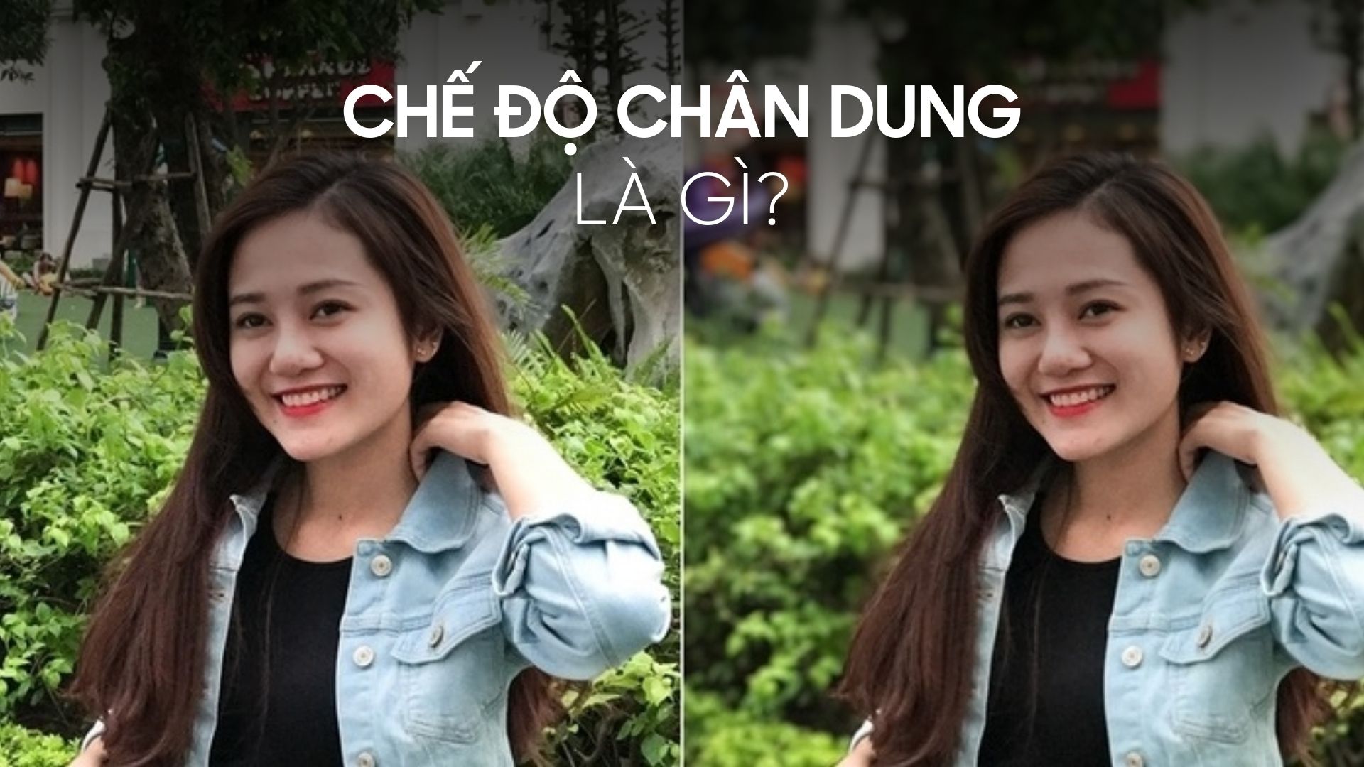 Chế độ chân dung là gì