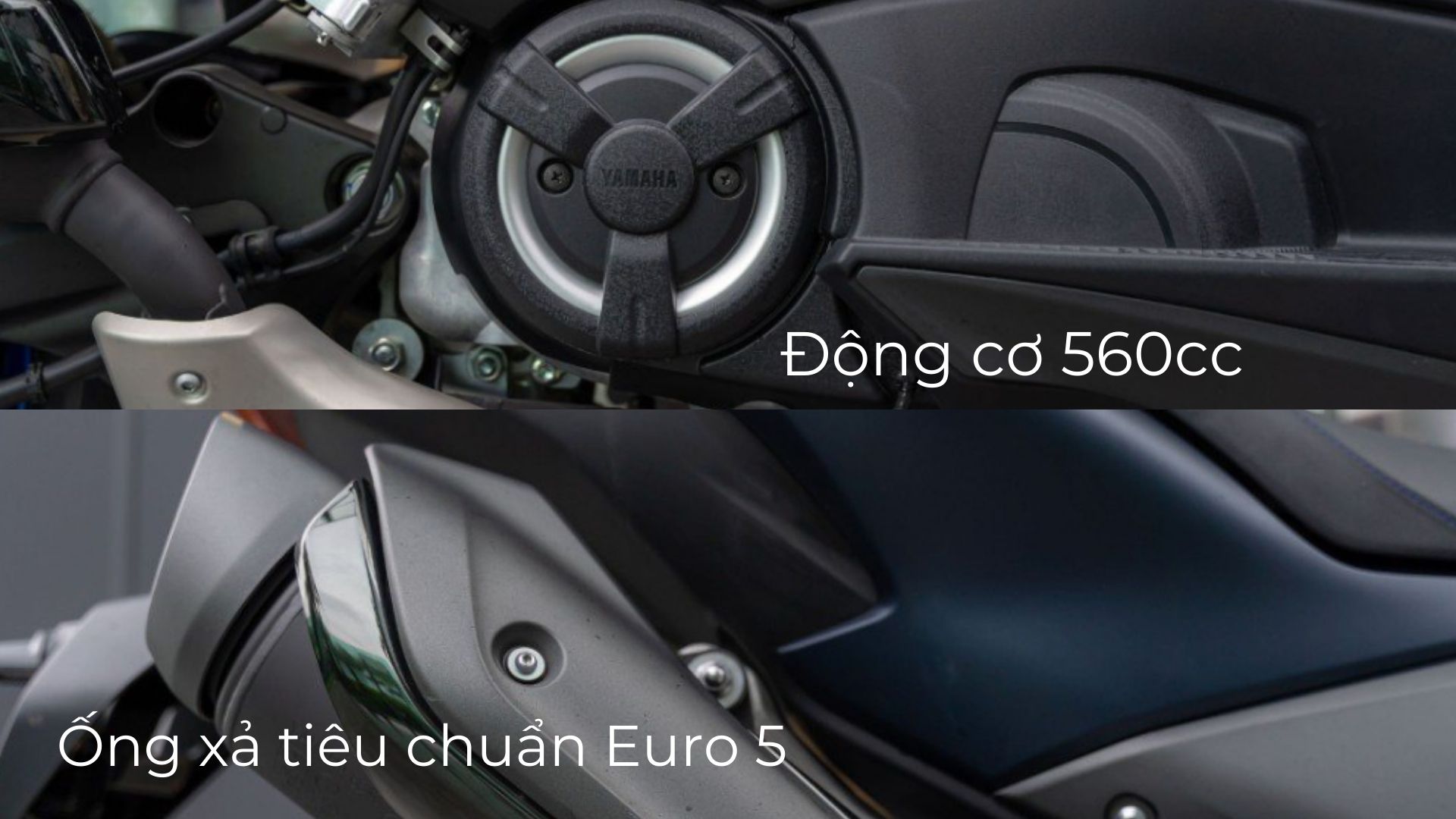 Động cơ 560cc trên Yamaha TMAX