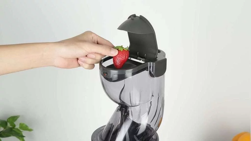 Máy ép chậm Tefal (ZC600138) - Cửa tiếp nguyên liệu