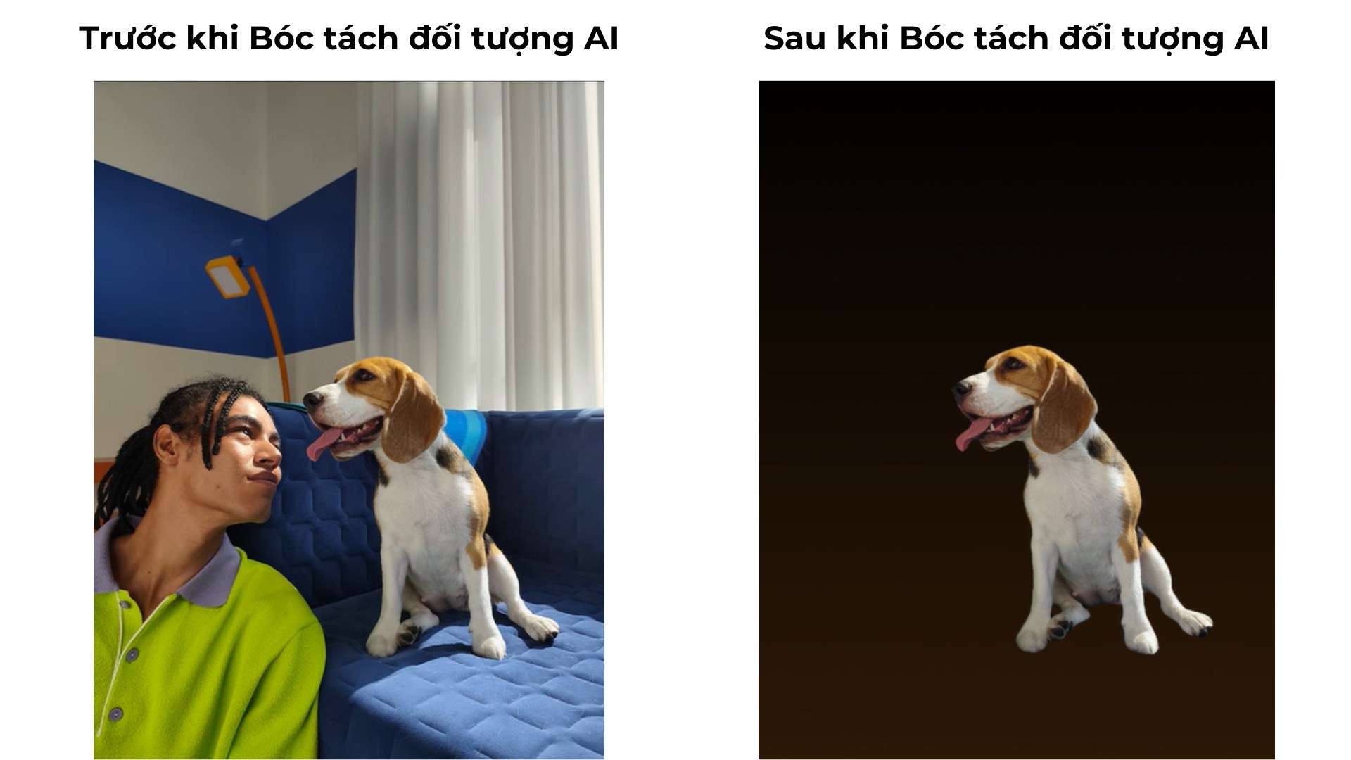 Bóc tách đối tượng AI