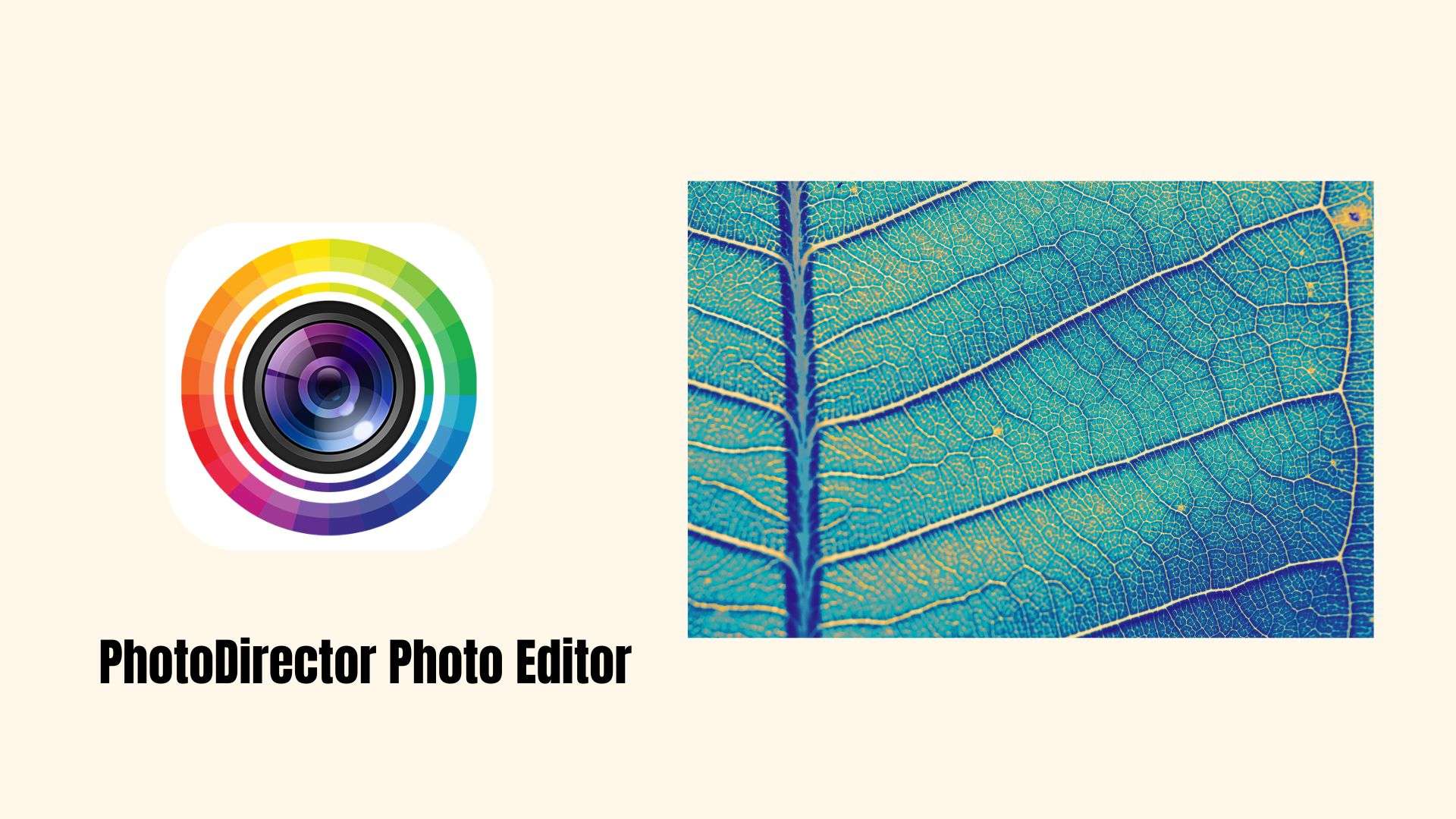 PhotoDirector Photo Editor