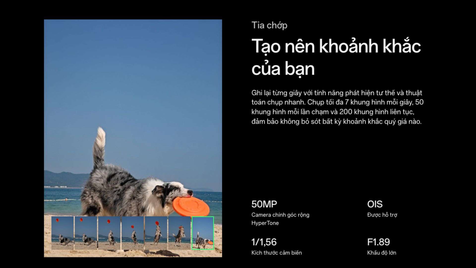 Camera chuẩn nhiếp ảnh gia