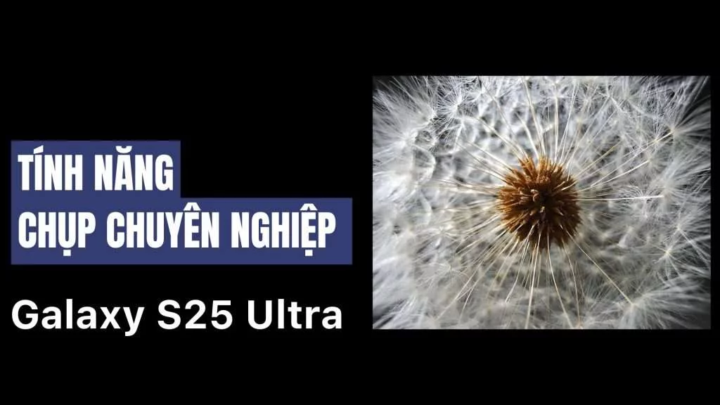 Chụp ảnh chuyên nghiệp trên camera Galaxy S25 Ultra