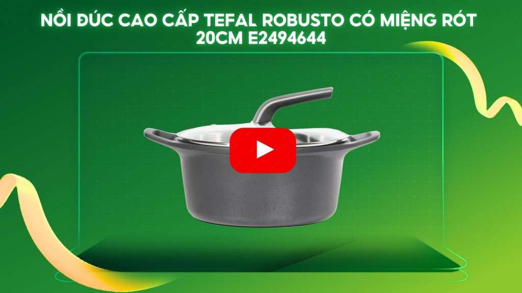 Nồi Đúc Cao Cấp Tefal Robusto Có Miệng Rót 24Cm E2494644