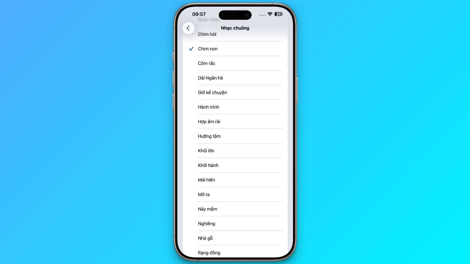 Thêm nhiều chuông báo mới